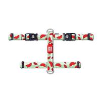 Max & Molly Ultra Comfortable Padded Neoprene Dog Step-in H-Harness - No-Pull Design, Secure, Adjustable, and Easy Control for Small to Large Dogs