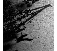 Max Richter: Blue Notebooks By Max Richter (2013-04-29)