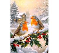 MAXBYE Diamond Painting Kits for Adults, 5D Robins Diamond Art Kits DIY Full Drill Animal Gem Art for Beginner, Winter Christmas Crystal Cross Stitch for Home Wall Decor Gifts 30x40cm
