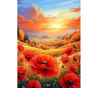 MAXBYE Diamond Painting Kits for Adults, Sunset Diamond Art Full Round Drill DIY Gems Art Crafts for Beginner, Red Poppies Diamond Pictures Crystal Cross Stitch Home Wall Decor 30x40cm