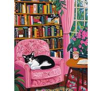 MAXBYE Paint by Numbers Kits for Adults, Painting by Numbers on Canvas, Black Cat on Pink Sofa DIY Colors Oil Painting with Paint Brushes Acrylic Pigment, Home Decor Gifts Without Frame 40x50 cm