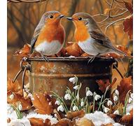 MAXBYE Two Cute Birds Diamond Painting Kits, 5D Diamond Art Kits Round Full Drill Gem Cross Stitch for Adults Beginner, DIY Crystal Art Craft Gift Home Wall Decor 30x30cm