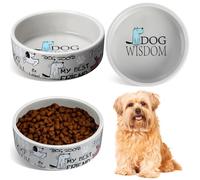 Maxcheck 2 Pcs 5 Inch Ceramic Dog Bowls Dishes for Small Dogs Cute Cartoon Pattern Puppy Cat Bowls Heavy Food Water Dishes for Pets Feeding Travel, Dishwasher Safe Microwave Safe (Gray)