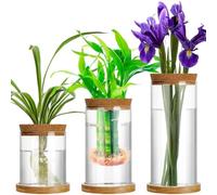 Maxcheck 3 Pcs 3 Sizes Plant Propagation Station Separated Glass Plant Terrarium Water Hydroponic Planter Holder with Lid and Wooden Stand Propagation Vase Pot for Home Indoor Office(Various Sizes)