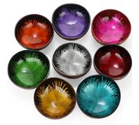 Maxcheck 8 Pcs Decorative Coconut Bowl Natural Coconut Shell Candy Dish Colored Polished Holder for Decoration Storage Acai Key Salad Yogurt Smoothie Nuts Dessert Fruits Dry Snack Home Office Kitchen