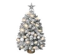 MaxEarn 2ft Mini Christmas Tree with Lights, 60cm Silver White "Merry Christmas" Greeting Small Christmas Tree with Bow, Bell, Snowflake Ornaments, Artificial Xmas Tree for Home Office Table Decor