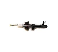 MaXgear Shock Absorber 11-0313 - Front Left (Top Pin) for Ford Focus
