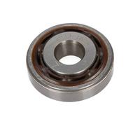 Anti-Friction Bearing,suspension strut support mounting for OPEL,VAUXHALL,G9MB6