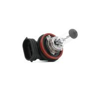 MAXGEAR 78-0013 Bulb, spotlight
