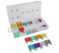 Maxi Car Blade Fuse Assortment Large Size Fuses 20A to 100A 24pc KIt