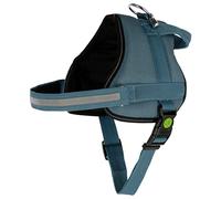 Maxi Pet 80210 Maestro 2.0 Harness with Address Tube