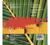 MAXI PRIEST - MAXI PRIEST, just wanna know, B side fe real and too late to turn back now, TEN 416, POSTER AND 7" EP