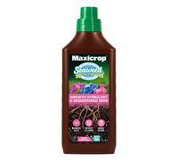 Stax Seaweed Fertilizer Maxicrop 140251 – Liquid Growth Stimulant & Sequestered Iron 1L