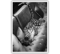 Maximalist Cheetah Posters Funky Panther on The Sofa Wall Art Fashion Black and White Decor Trendy Leopard Print Canvas Vintage Animal Pictures Artwork for Dorm Living Room Batchroom 12x16in Unframed