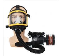 MaxS Electric Constant Flow Supplied Air Fed Full Face Gas Mask Spray Painting Tool Respirator System Device Breathing Tube Adjustable