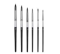 maxtachi 6 PCS Round Tip Artist Painting Brush Set, Nylon Hair Paint Brush Round Pointed Tip, Art Paint Brush for Water Color, Acrylic Oil, Gouache and Ink, Perfect for Beginners, Professionals
