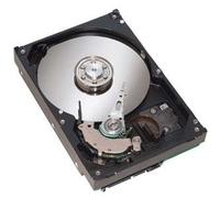 Maxtor 120 GB 6y120 m0 S-ATA 7.200 Hard-Disk Bulk