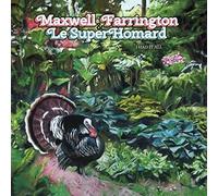 Maxwell Farrington & Le Superhomard - I Had It All [VINYL]