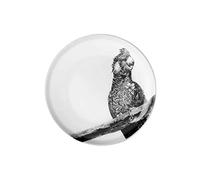 Maxwell & Williams DX0533 Marini Ferlazzo Plate in Premium Ceramic, Black, White, in Gift Box