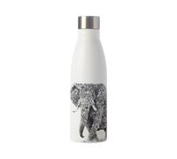 Maxwell & Williams Marini Ferlazzo 500Ml African Elephant Double Walled Insulated Bottle