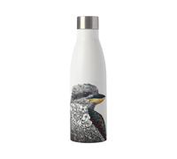 Maxwell & Williams Marini Ferlazzo Insulated Water Bottle with Laughing Kookaburra Design, Double Wall Stainless Steel, White, 500 ml