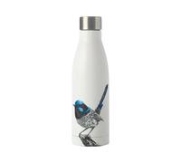 Maxwell & Williams Marini Ferlazzo 500ml Superb Fairy-wren Insulated Bottle - White - Stainless Steel - Water Bottle