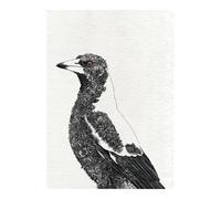 Maxwell & Williams Marini Ferlazzo Australian Magpie Tea Towel - White - Cotton - Tea Towel