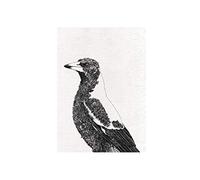 Maxwell & Williams Tea Towel Marini Ferlazzo Australian Magpie Print 100% Cotton 50x70cm Black/White