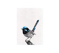 Maxwell & Williams Marini Ferlazzo Birds Printed Tea Towel with Superb Fairy-wren Design, 1% Cotton, Black/White, 5 x 7 cm