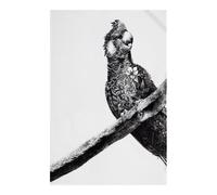 Marini Ferlazzo Cockatoo Tea Towel Maxwell & Williams Multi One Size