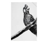 Maxwell & Williams Marini Ferlazzo Tea Towel with Carnaby Cockatoo Design, 1% Indian Cotton, White, 5 x 7 cm