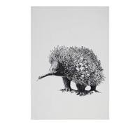 Marini Ferlazzo Echidna Tea Towel Maxwell & Williams Multi One Size