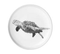 Maxwell & Williams Marini Ferlazzo Green Sea Turtle 20Cm Plate