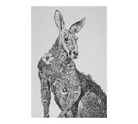 Maxwell & Williams Marini Ferlazzo Kangaroo Print 100% Cotton Tea Towel Multi One Size