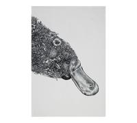 Maxwell & Williams Marini Ferlazzo Platypus Tea Towel - White - Cotton - Tea Towel