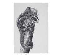 Maxwell & Williams Marini Ferlazzo Sugar Glider Tea Towel