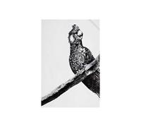 Maxwell & Williams Marini Ferlazzo Tea Towel with Carnaby Cockatoo Design, 100% Indian Cotton, White, 50 x 70 cm