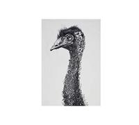 Maxwell & Williams Marini Ferlazzo Tea Towel with Emu Design, 100% Indian Cotton, White, 50 x 70 cm