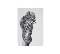 Marini Ferlazzo Sugar Glider Tea Towel Maxwell & Williams Multi One Size