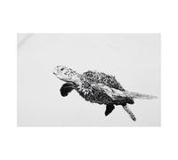 Maxwell & Williams Marini Ferlazzo Turtle Print 100% Cotton Tea Towel Multi One Size