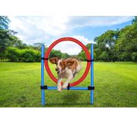 maxxpro Agility Ring Set Agility for Dogs 85 x 3 cm Plastic Blue/Red