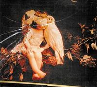 May All Magic Guide and Change You