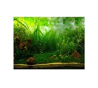 May Gifts Fish Tank Background Poster, Water Grass Style Aquarium PVC Adhesive Decor Paper(76 * 30cm)
