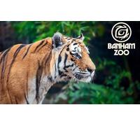 May Half-Term Early Bird Adult Ticket Valid for use on 23rd - 31st May