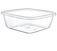 Maya Professional Tools 031102 Square Washbasin 8 Litres Transparent