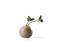 Maya Star Japanese-Style Ceramic Vases, Flower Arrangement Container, Ikebana Crafts Ornaments A01