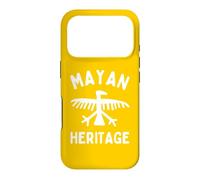 Mayan Heritage Rock Painting Bird Petroglyph Mexico Yucatan Case for iPhone 17 Pro