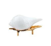 MAYAPURI Authentic Non-Blowing Jal Shankh (Pani Shankha) with Brass Stand for Pooja Abhishekam (9-10 cm)