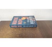 Maybe Someday Series By Colleen Hoover 2 Books Collection Set (Maybe Someday, Maybe Now)