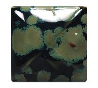 Mayco Stoneware Crystal Glaze - Olive Float, Pint